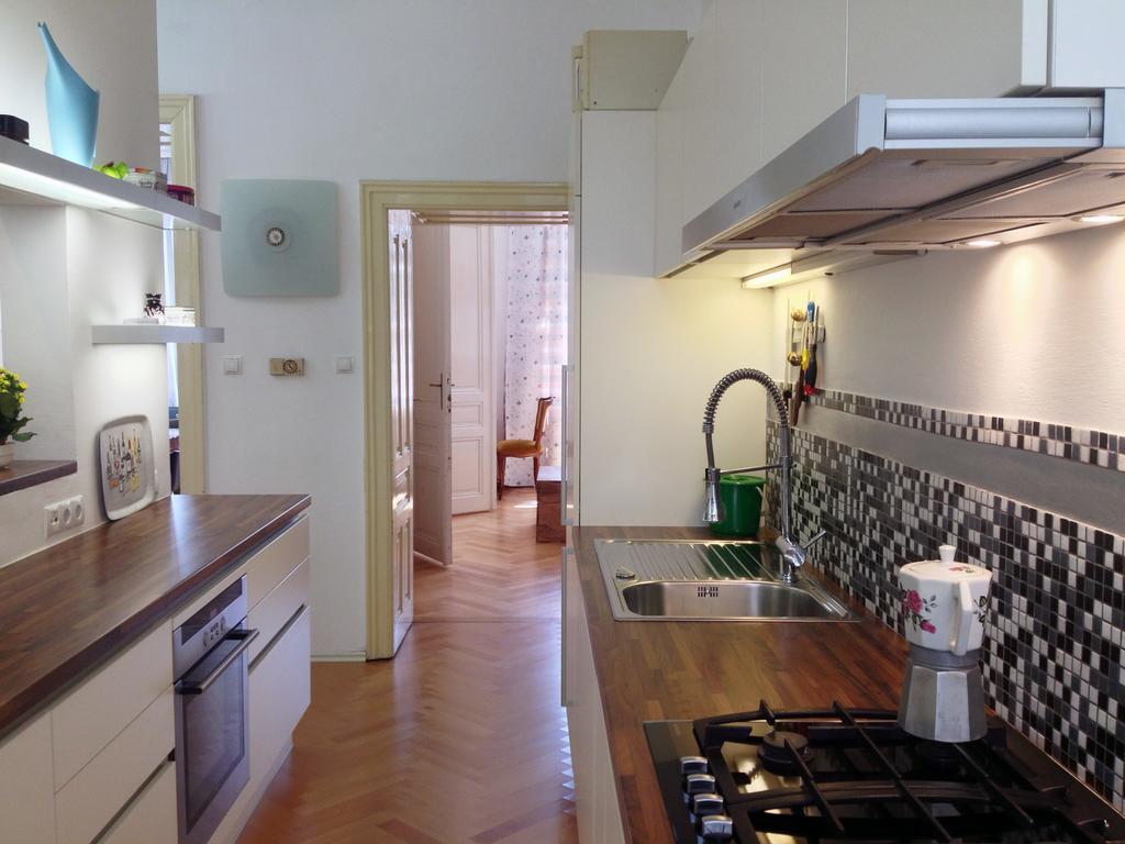 Big Vintage Style Flat Near Schonbrunn Apartment Wina Bagian luar foto